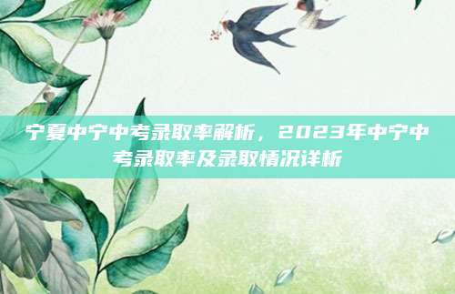 宁夏中宁中考录取率解析，2023年中宁中考录取率及录取情况详析