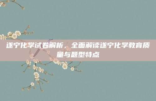 遂宁化学试卷解析，全面解读遂宁化学教育质量与题型特点