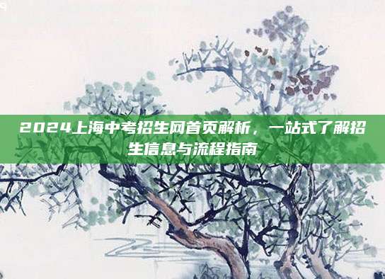 2024上海中考招生网首页解析，一站式了解招生信息与流程指南