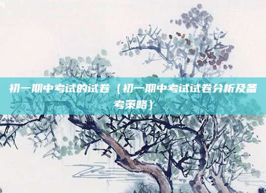 初一期中考试的试卷（初一期中考试试卷分析及备考策略）