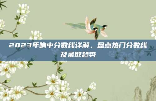 2023年响中分数线详解，盘点热门分数线及录取趋势