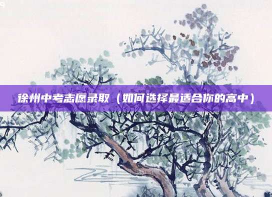 徐州中考志愿录取（如何选择最适合你的高中）
