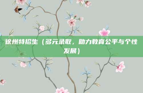 徐州特招生（多元录取，助力教育公平与个性发展）