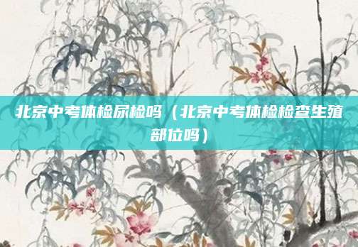 昆明中考历史试卷答案（昆明中考历史试卷答案解析与备考策略）