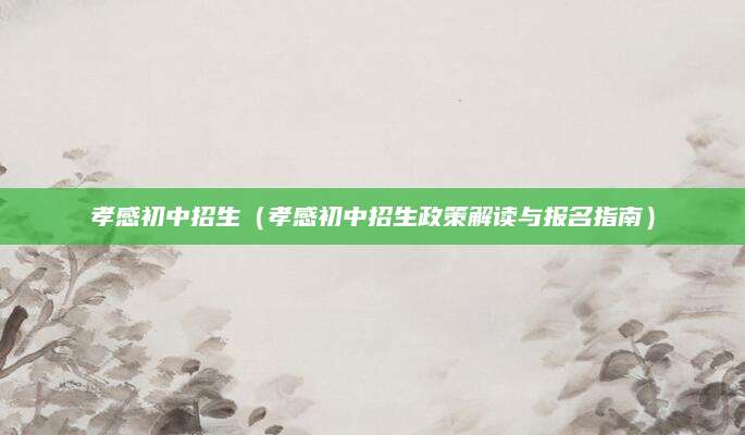 孝感初中招生（孝感初中招生政策解读与报名指南）