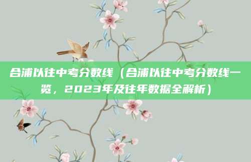 合浦以往中考分数线（合浦以往中考分数线一览，2023年及往年数据全解析）