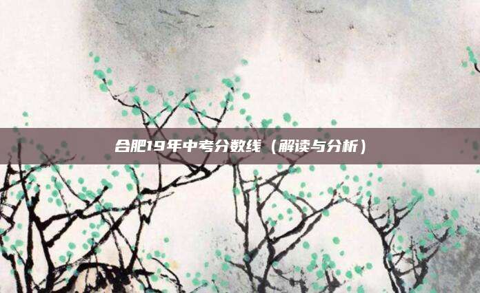 合肥19年中考分数线（解读与分析）