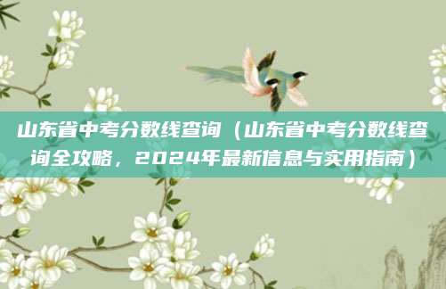 山东省中考分数线查询（山东省中考分数线查询全攻略，2024年最新信息与实用指南）