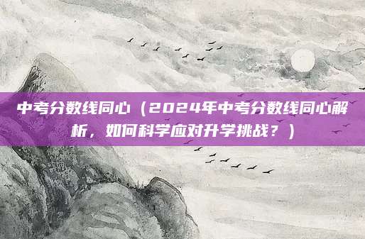 中考分数线同心（2024年中考分数线同心解析，如何科学应对升学挑战？）