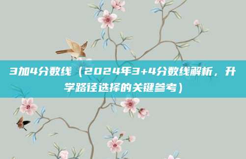 3加4分数线（2024年3+4分数线解析，升学路径选择的关键参考）