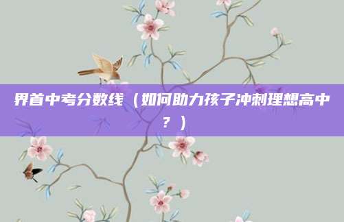 界首中考分数线（如何助力孩子冲刺理想高中？）