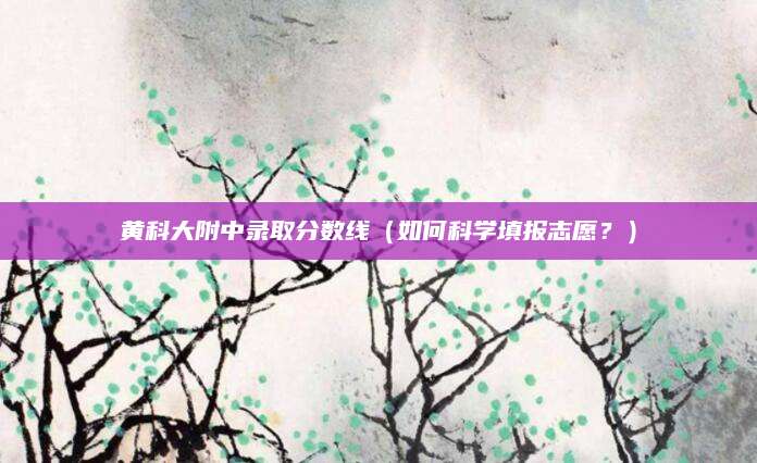 黄科大附中录取分数线（如何科学填报志愿？）