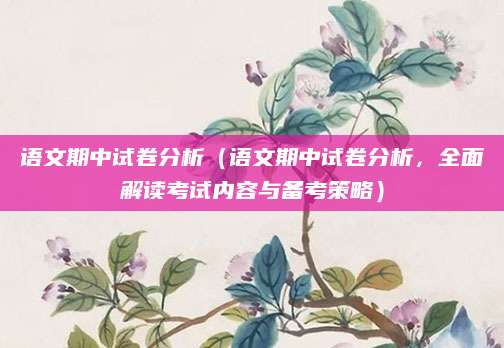 语文期中试卷分析（语文期中试卷分析，全面解读考试内容与备考策略）