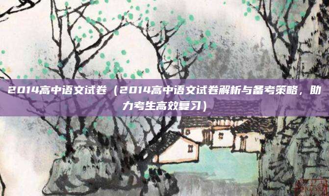 2014高中语文试卷（2014高中语文试卷解析与备考策略，助力考生高效复习）