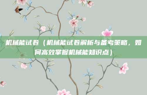 机械能试卷（机械能试卷解析与备考策略，如何高效掌握机械能知识点）