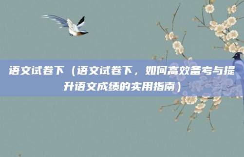 语文试卷下（语文试卷下，如何高效备考与提升语文成绩的实用指南）
