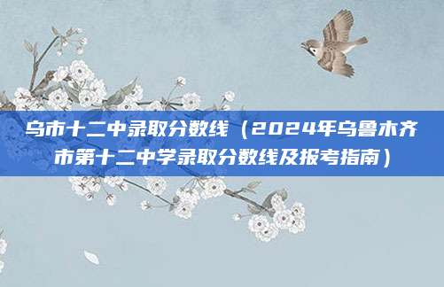 乌市十二中录取分数线（2024年乌鲁木齐市第十二中学录取分数线及报考指南）