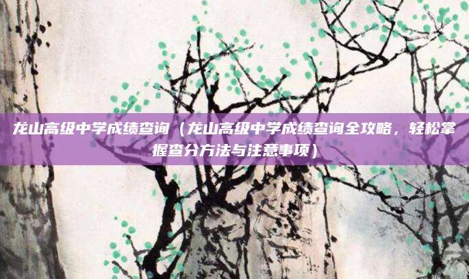 龙山高级中学成绩查询（龙山高级中学成绩查询全攻略，轻松掌握查分方法与注意事项）