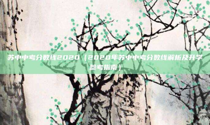 苏中中考分数线2020（2020年苏中中考分数线解析及升学参考指南）