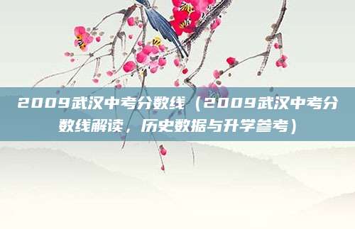 2009武汉中考分数线（2009武汉中考分数线解读，历史数据与升学参考）