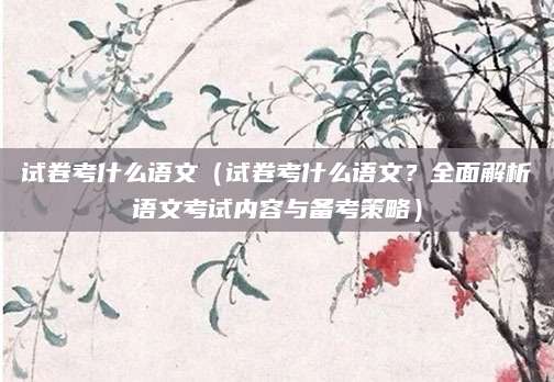 试卷考什么语文（试卷考什么语文？全面解析语文考试内容与备考策略）