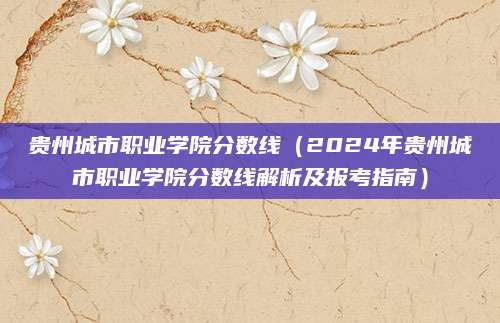 贵州城市职业学院分数线（2024年贵州城市职业学院分数线解析及报考指南）