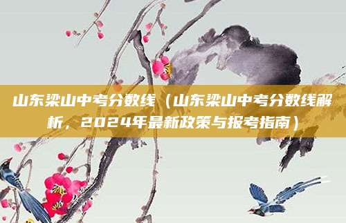 山东梁山中考分数线（山东梁山中考分数线解析，2024年最新政策与报考指南）