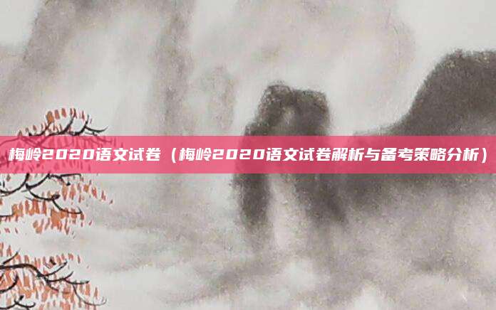 梅岭2020语文试卷（梅岭2020语文试卷解析与备考策略分析）