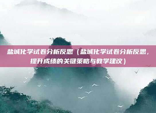 盐城化学试卷分析反思（盐城化学试卷分析反思，提升成绩的关键策略与教学建议）