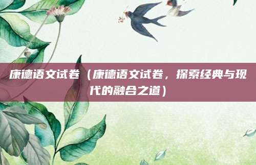 康德语文试卷（康德语文试卷，探索经典与现代的融合之道）