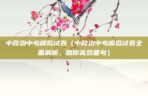 中政治中考模拟试卷（中政治中考模拟试卷全面解析，助你高效备考）