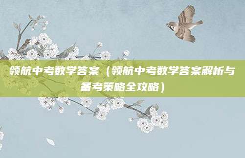 领航中考数学答案（领航中考数学答案解析与备考策略全攻略）