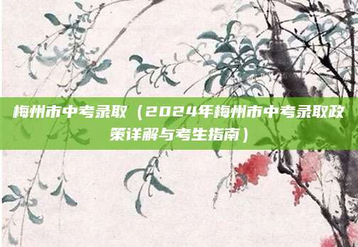 梅州市中考录取（2024年梅州市中考录取政策详解与考生指南）