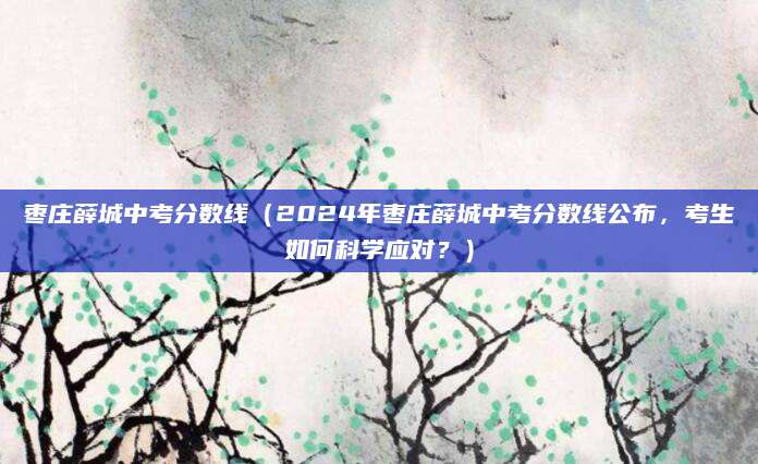 枣庄薛城中考分数线（2024年枣庄薛城中考分数线公布，考生如何科学应对？）
