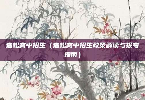 宿松高中招生（宿松高中招生政策解读与报考指南）