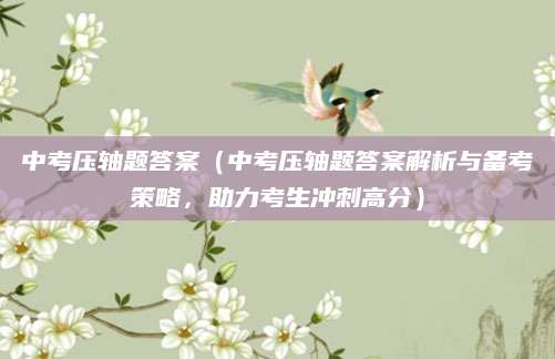 中考压轴题答案（中考压轴题答案解析与备考策略，助力考生冲刺高分）