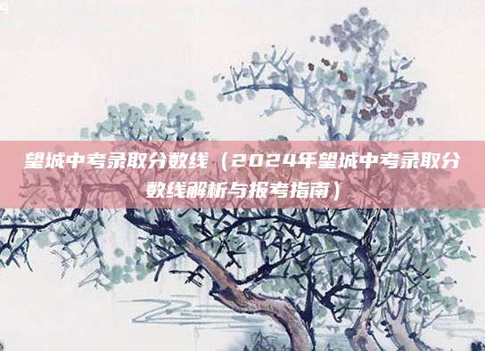 望城中考录取分数线（2024年望城中考录取分数线解析与报考指南）
