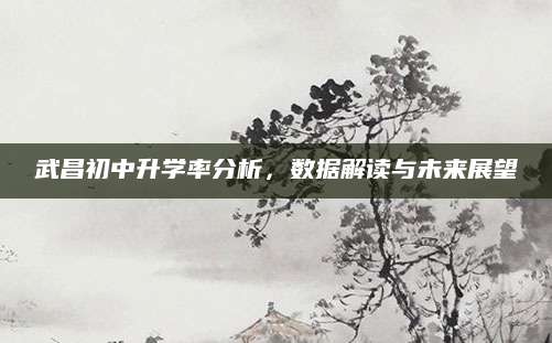 武昌初中升学率分析，数据解读与未来展望