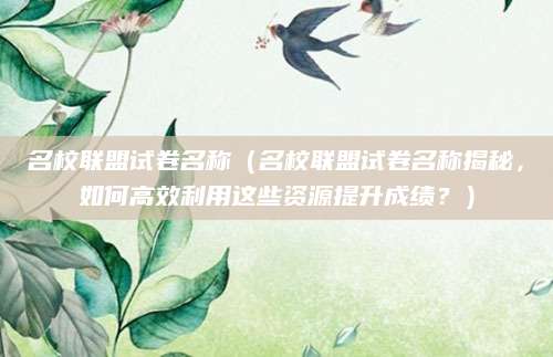 名校联盟试卷名称（名校联盟试卷名称揭秘，如何高效利用这些资源提升成绩？）
