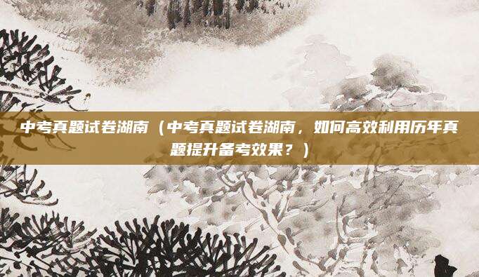 中考真题试卷湖南（中考真题试卷湖南，如何高效利用历年真题提升备考效果？）