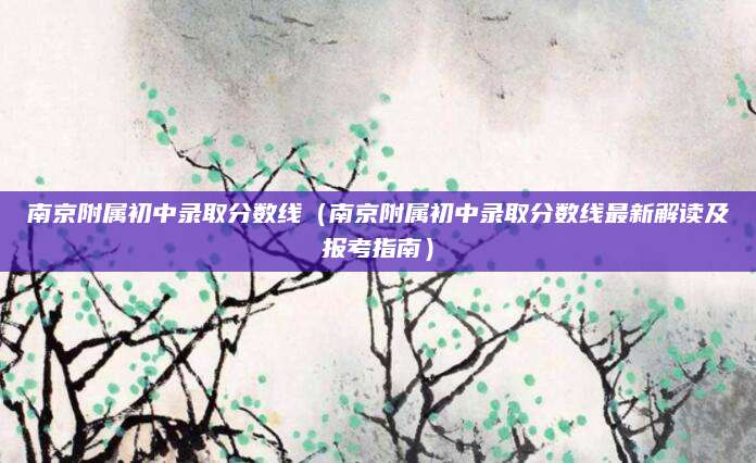 南京附属初中录取分数线（南京附属初中录取分数线最新解读及报考指南）