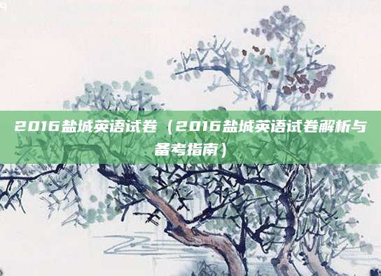 2016盐城英语试卷（2016盐城英语试卷解析与备考指南）