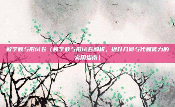 数学数与形试卷（数学数与形试卷解析，提升几何与代数能力的实用指南）