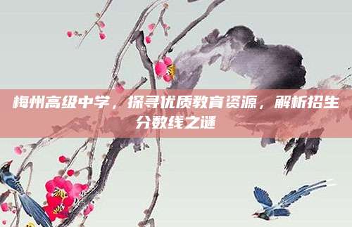 梅州高级中学，探寻优质教育资源，解析招生分数线之谜