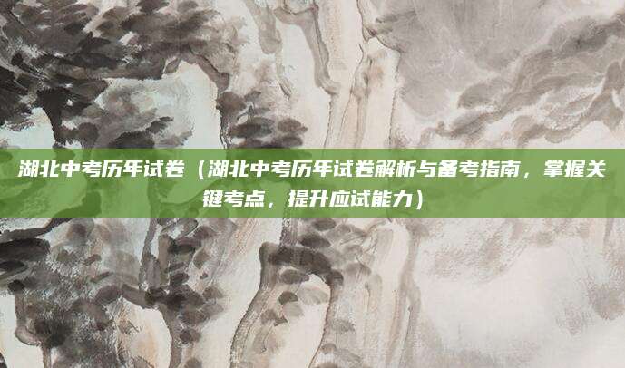 湖北中考历年试卷（湖北中考历年试卷解析与备考指南，掌握关键考点，提升应试能力）