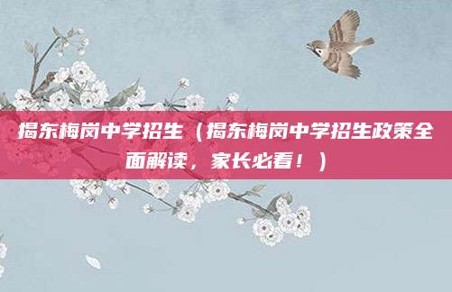 揭东梅岗中学招生（揭东梅岗中学招生政策全面解读，家长必看！）
