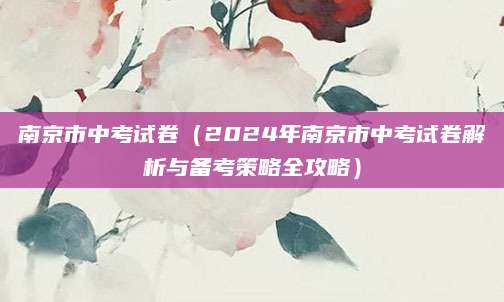 南京市中考试卷（2024年南京市中考试卷解析与备考策略全攻略）