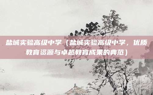 盐城实验高级中学（盐城实验高级中学，优质教育资源与卓越教育成果的典范）