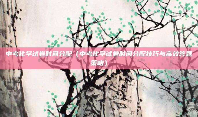 中考化学试卷时间分配（中考化学试卷时间分配技巧与高效答题策略）