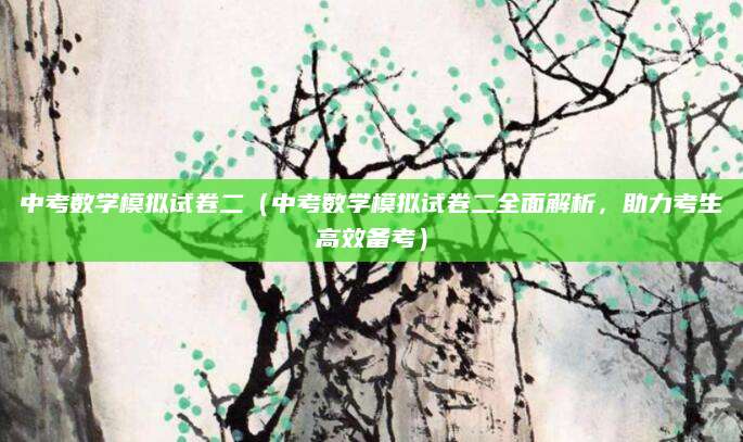 中考数学模拟试卷二（中考数学模拟试卷二全面解析，助力考生高效备考）